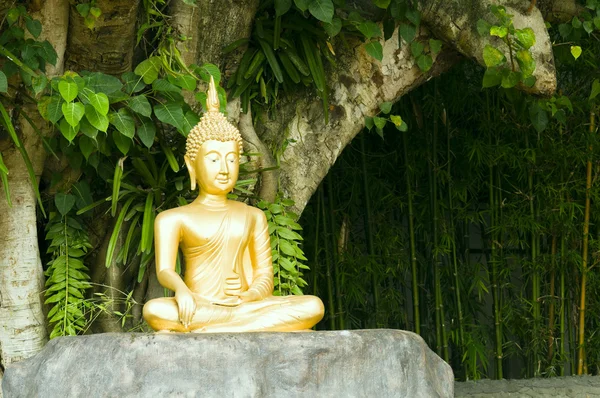 Buddha-Statue unter grünem Baum in meditativer Haltung — Stockfoto