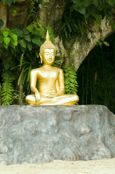 Buddha szobor meditációs testtartás zöld fa alatt — Stock Fotó