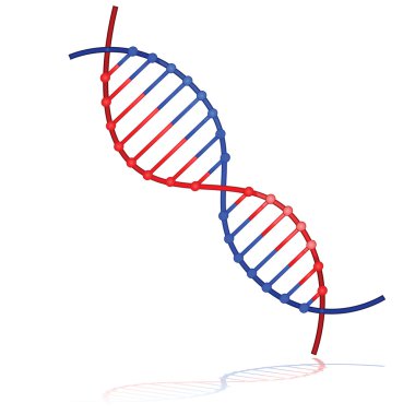 DNA strand clipart