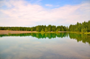 lake forest Shore