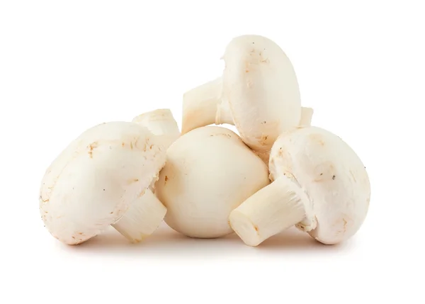 Mushrooms — Stock Image Mushrooms Stock Image