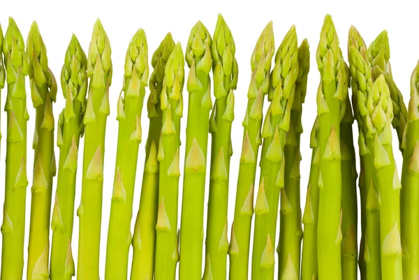 Färsk grön sparris — Stockfoto