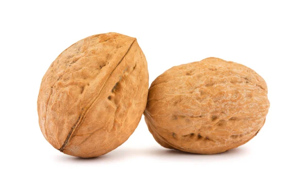 Dva ořechy — Stock fotografie