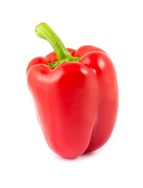 Zralá červená paprika — Stock fotografie