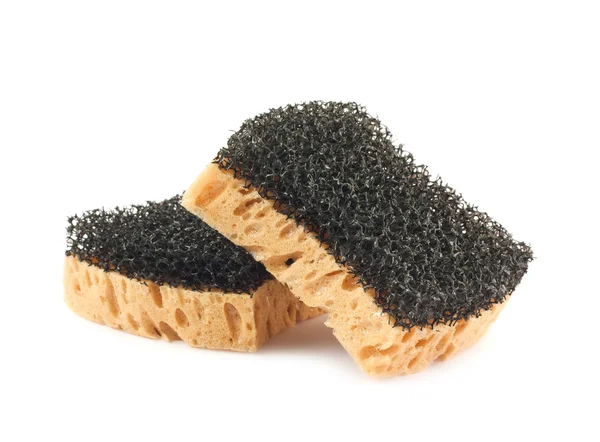 Two sponges on white background — Stock Photo, Image