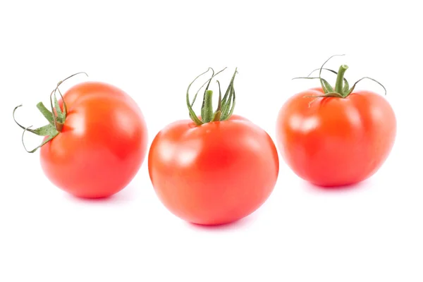 Tre färska mogna tomater — Stockfoto