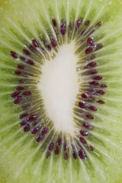 stock image Kiwi fruit closeup