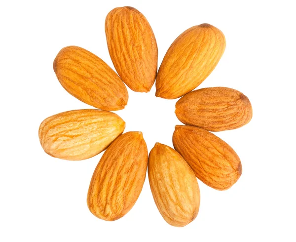 Almond nuts out on a circle — Stock Photo, Image