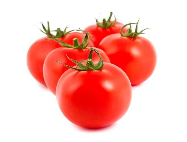 Rote reife Tomaten — Stockfoto
