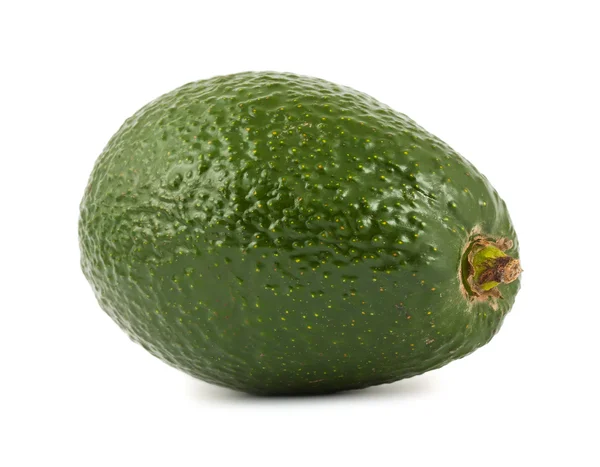 Einzelne Avocado — Stockfoto