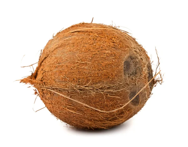 Brązowy kokosowe — Zdjęcie stockowe