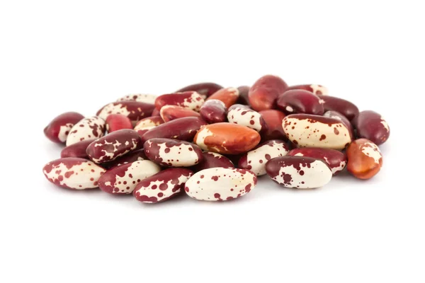 stock image Dried beans