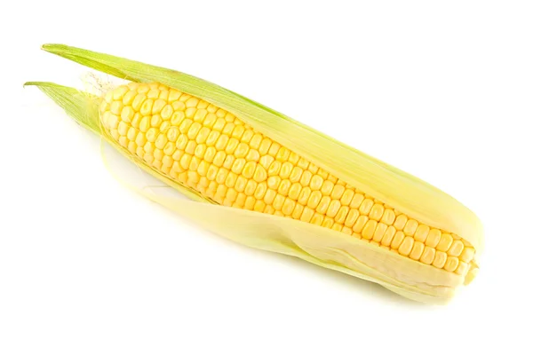 Einzelner gelber Mais auf dem Maiskolben — Stockfoto