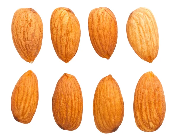 Almond nuts — Stock Photo, Image