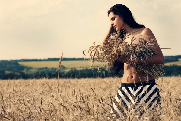 A beautiful girl is in the field — Stock Photo, Image