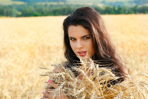 Een mooi meisje is in het veld — Stockfoto