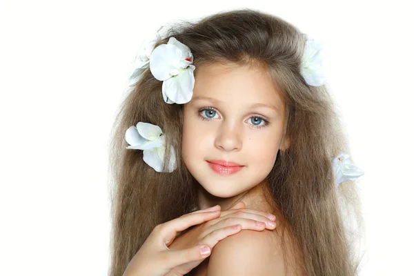 Portrait of beautiful little girl — Stock Photo, Image