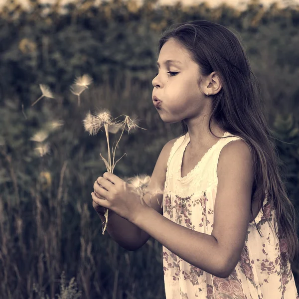 Маленька дівчинка в полі — стокове фото