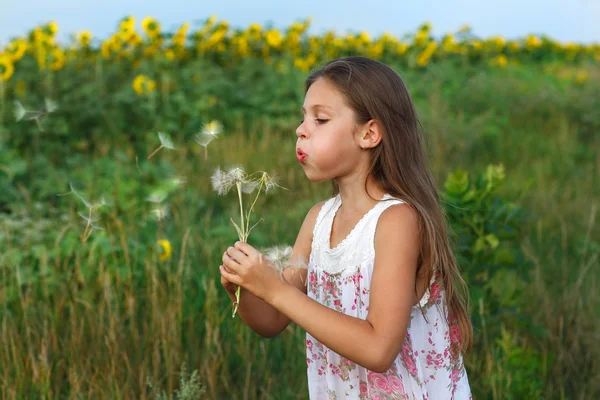 Маленька дівчинка в полі — стокове фото