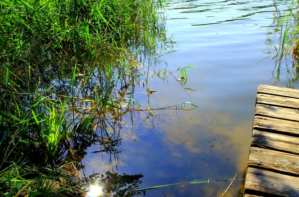 The sun is reflected in the waters of a pond — Stock Photo, Image