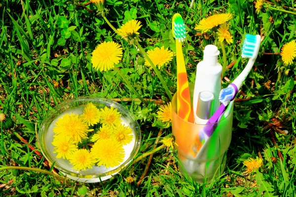 Escovas de dentes, pasta e creme de pele no vidro na grama — Fotografia de Stock