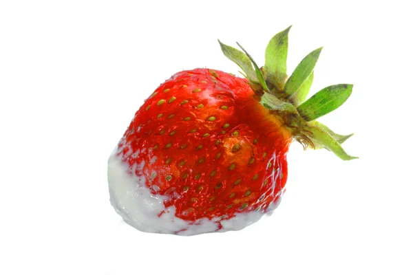 흰 크림에서 맛 있어 딸기 — 스톡 사진