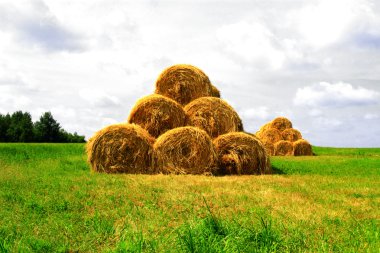 bazı haystacks alanında