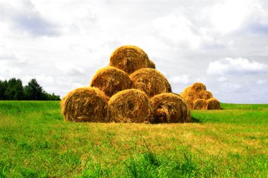 Some haystacks on the field clipart