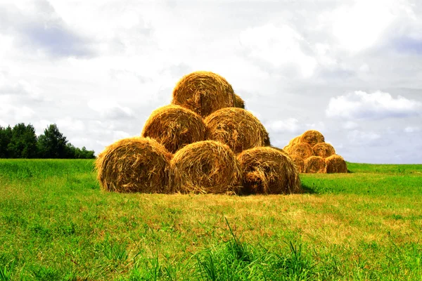 Some haystacks on the field — Stock Photo, Image
