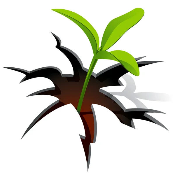Lente sprout — Stockvector
