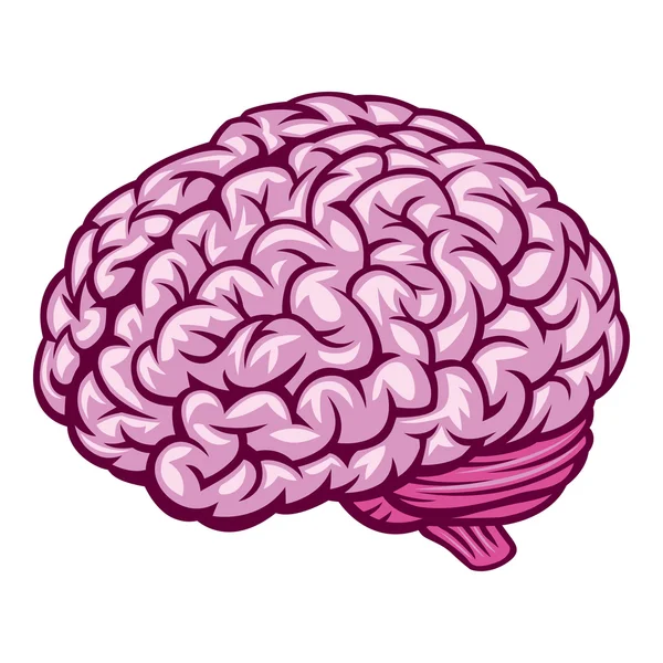인간의 두뇌 만화 그리기 — 스톡 벡터