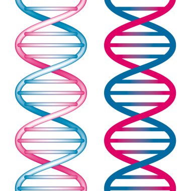 Dikişsiz DNA'sı simgesi