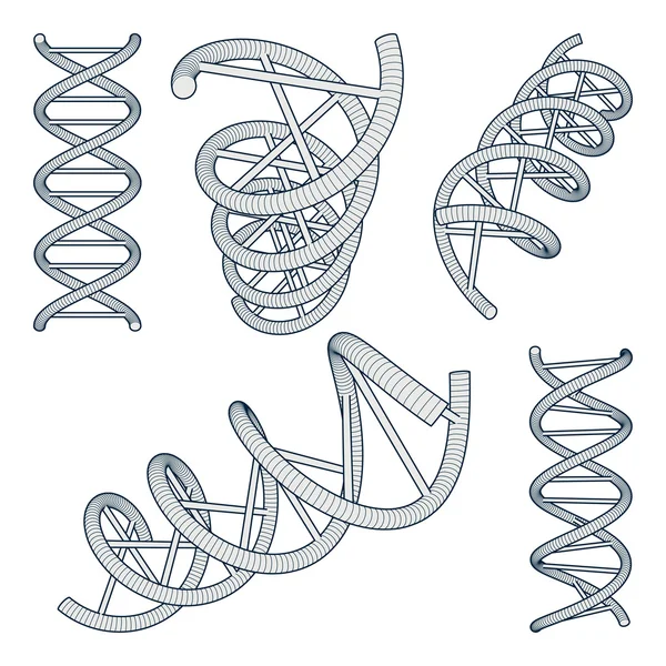 Conjunto de símbolos de ADN —  Vetores de Stock