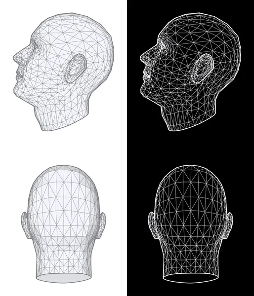 Lidská hlava. vektorová ilustrace — Stockový vektor