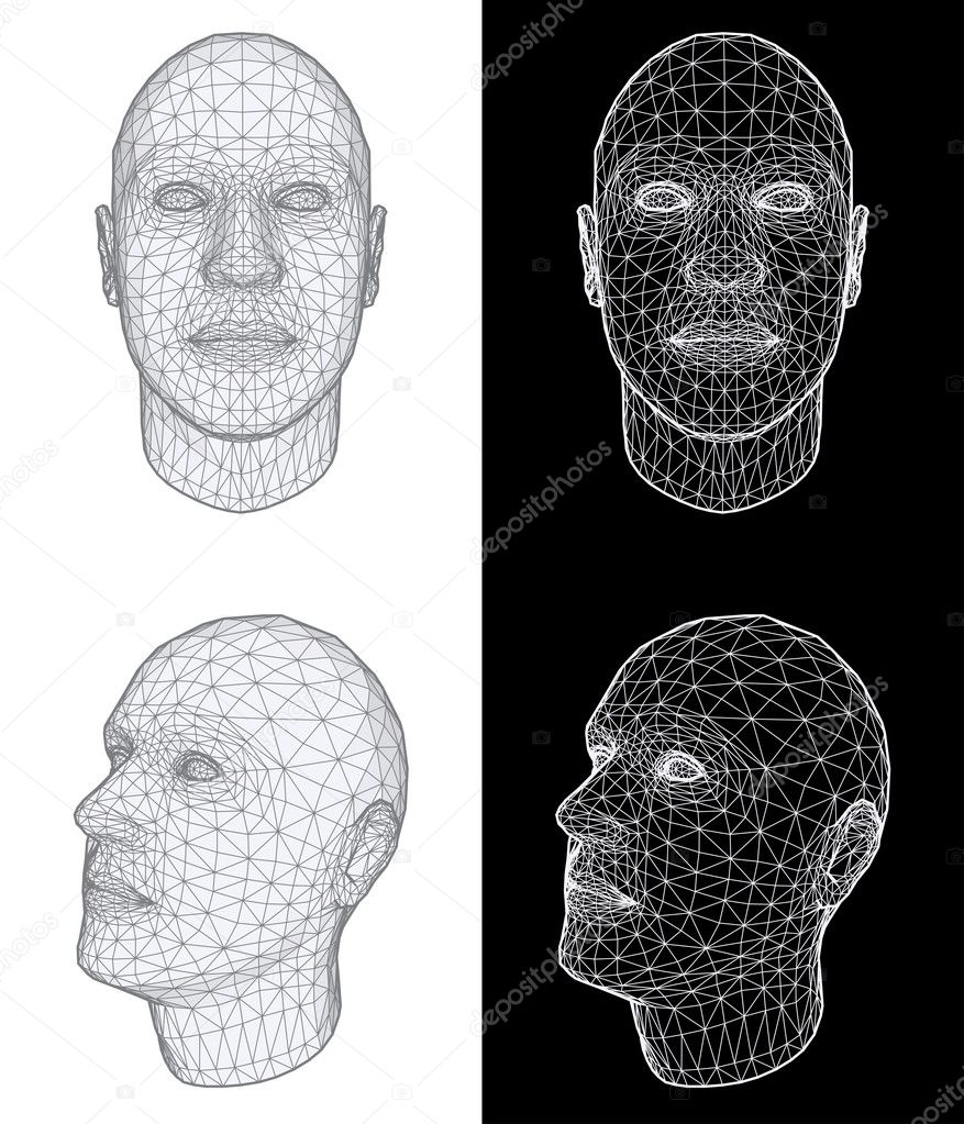 Human head. Vector Illustration