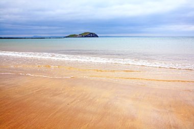 Nisan beach north berwick