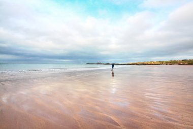 Nisan beach north berwick