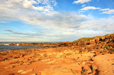 Cambo beach, fife, İskoçya