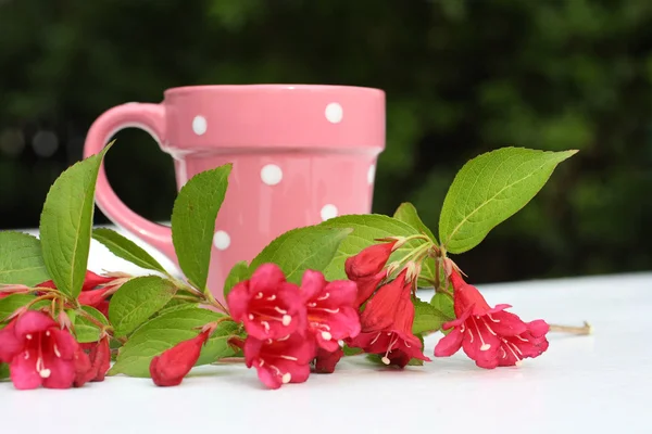 Ροζ, Ανοιξιάτικα λουλούδια και ένα φλιτζάνι — Φωτογραφία Αρχείου