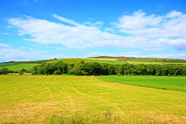 Paysage ensoleillé avec champs et ciel bleu — Photo