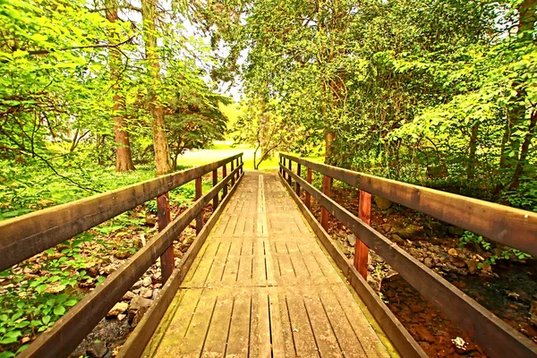 Parktaki tahta köprü. — Stok fotoğraf
