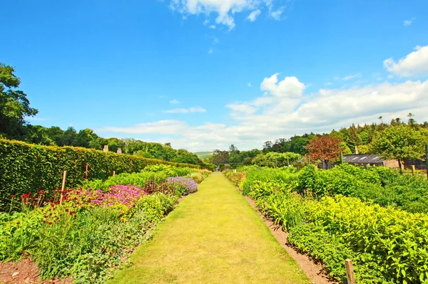 Bellissimo giardino primaverile — Foto Stock