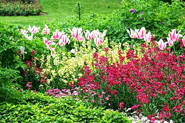 Schöner Frühlingsgarten — Stockfoto