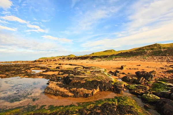 Cambo beach, fife, Skottland — Stockfoto