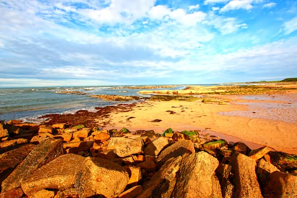 Cambo plaży, fife, Szkocja — Zdjęcie stockowe