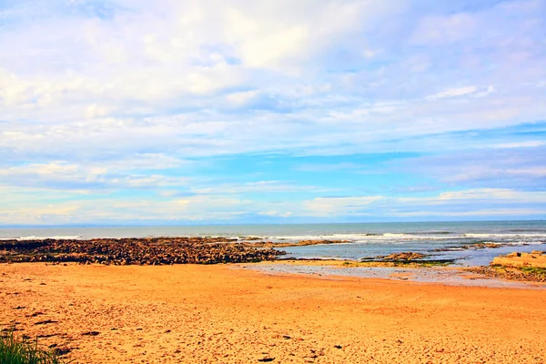 Cambo beach, fife, Skotskoカンボ ビーチ、ファイフ、スコットランド — Stock fotografie