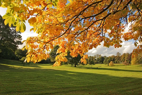 Beautiful Autumn in Scotland — Stock Photo, Image
