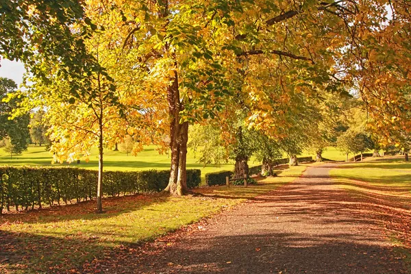 Piękna jesień w Szkocji — Zdjęcie stockowe