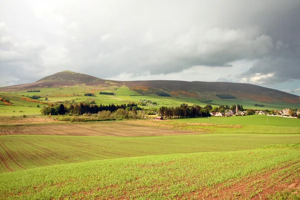 Jarní krajina ve Skotsku — Stock fotografie