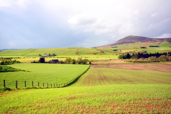 Весняний пейзаж в Шотландії — стокове фото